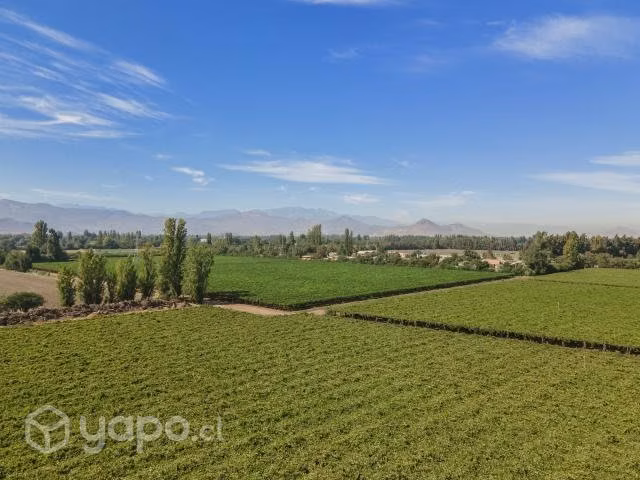 Hacienda Liray - Imagen 10