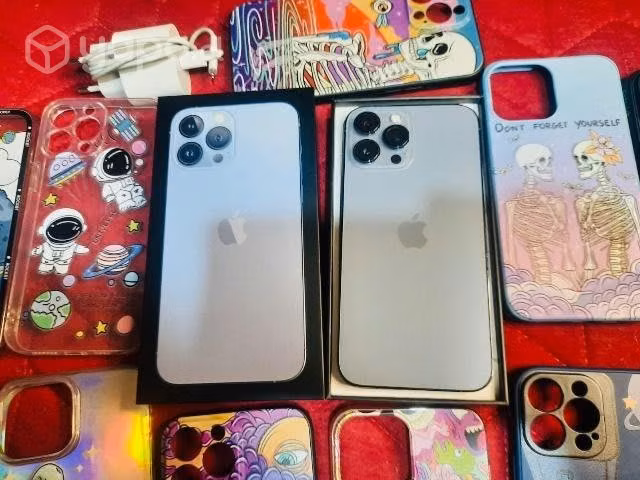 Iphone 13 pro max 256 usado