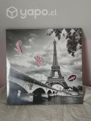 Cuadro magnético de París (imanes rosados) 50×50