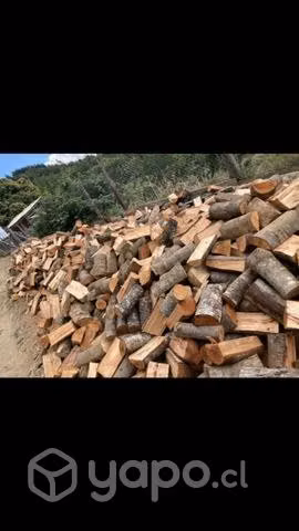 Leña seca de huelle - Imagen 5
