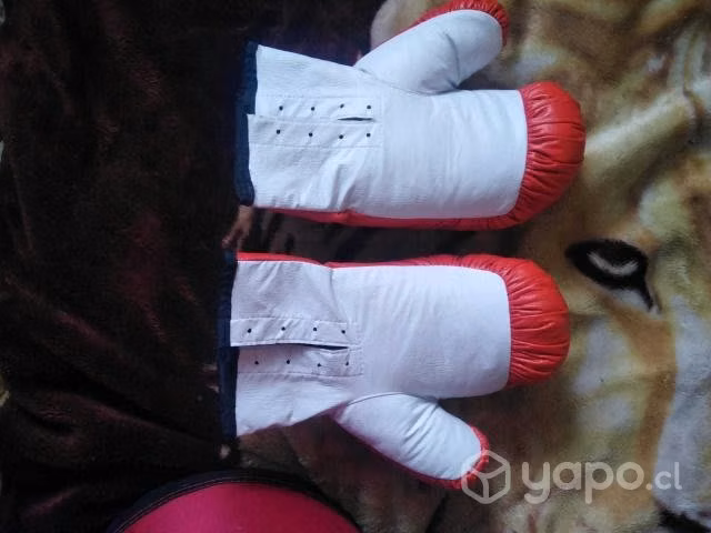 Saco de Box + Guantes