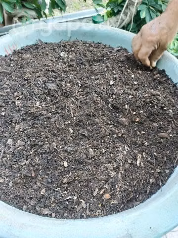 Tierra de hoja