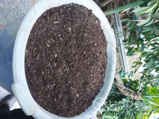 Tierra de hoja - Imagen 2