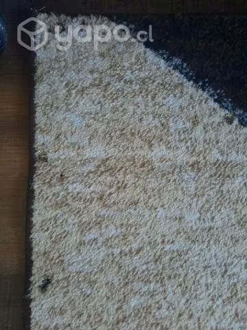 Alfombra