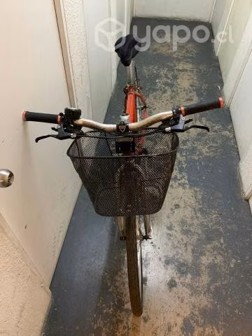 Bicicleta Terra Bike