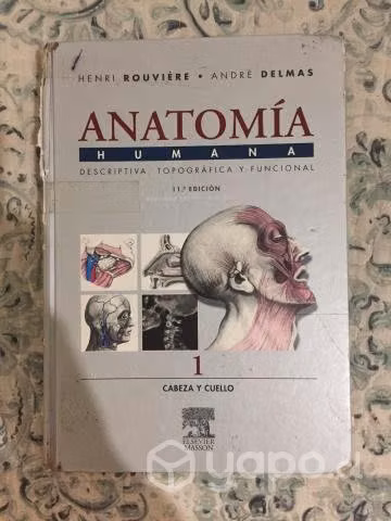 Libro anatomía Rouviere Tomo 1 cabeza y cuello