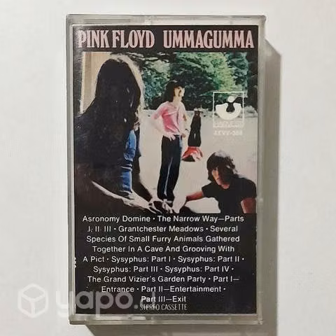 Pink Floyd / Ummagumma