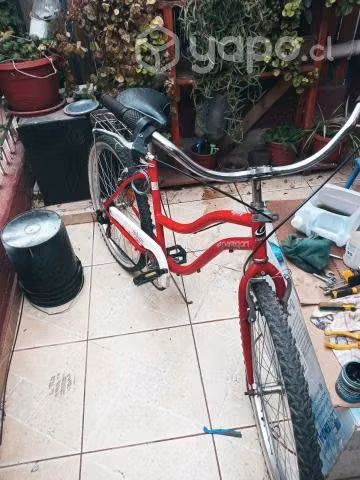 Bici mujer