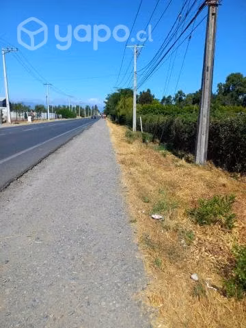 5000 m2 en romeral