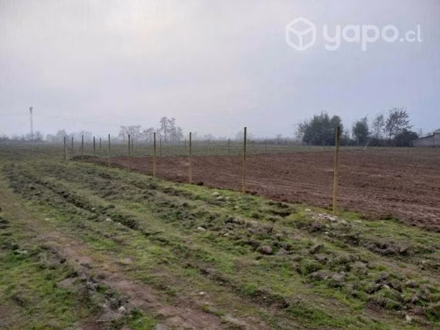 5000 m2 en romeral