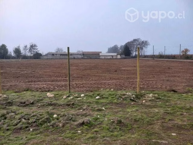 5000 m2 en romeral