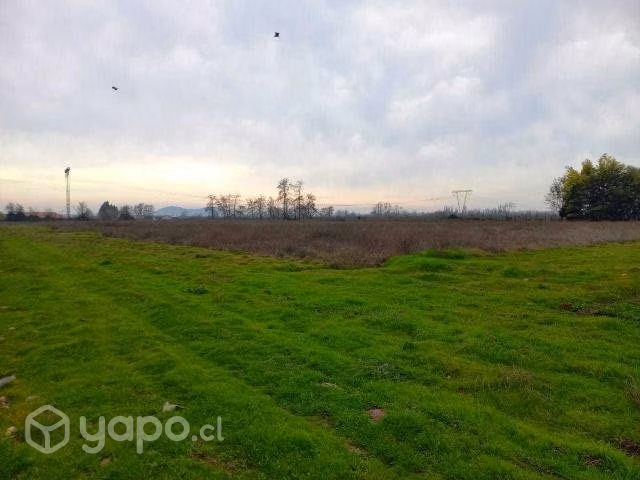 5000 m2 en romeral