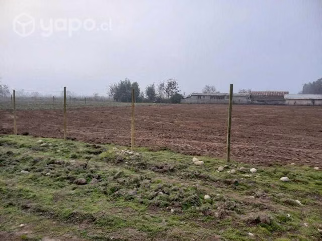 5000 m2 en romeral