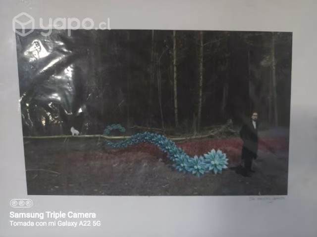 Fotografia - Imagen 3