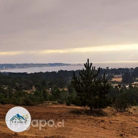 Proyecto Vista Algarrobo - Imagen 12
