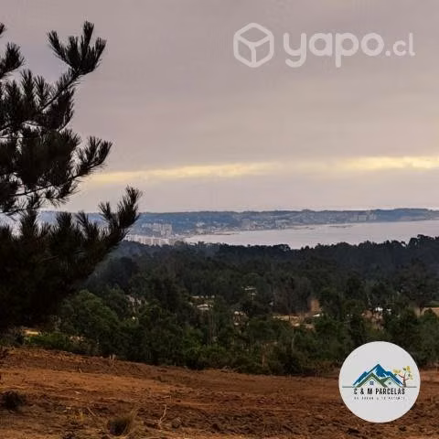 Proyecto Vista Algarrobo - Imagen 11