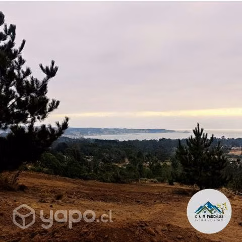Proyecto Vista Algarrobo - Imagen 5