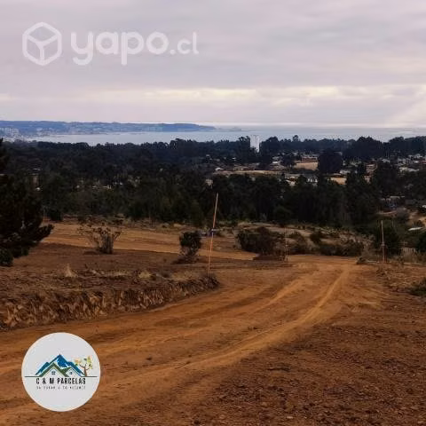 Proyecto Vista Algarrobo - Imagen 8