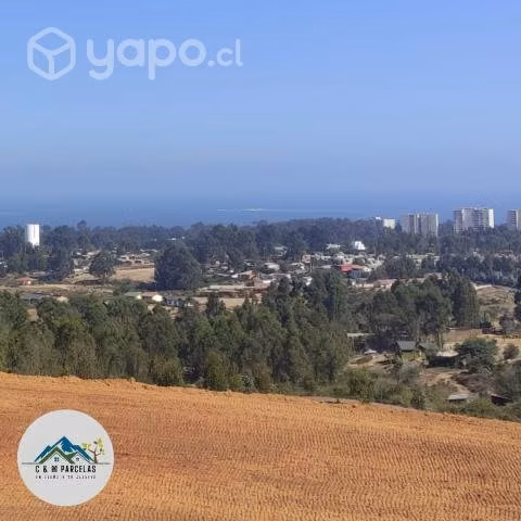 Proyecto Vista Algarrobo - Imagen 6