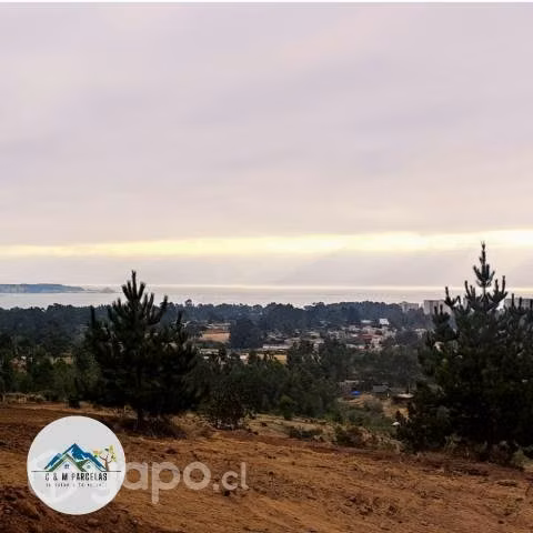 Proyecto Vista Algarrobo - Imagen 7