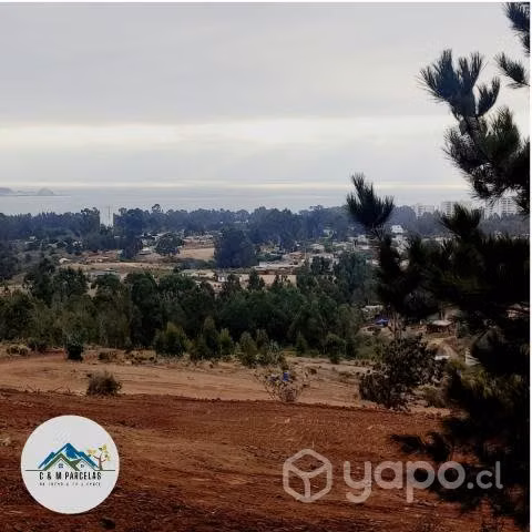 Proyecto Vista Algarrobo - Imagen 13