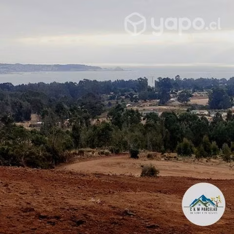 Proyecto Vista Algarrobo - Imagen 3