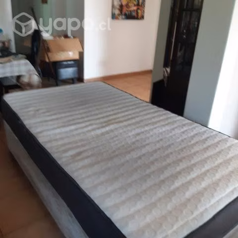 Cama