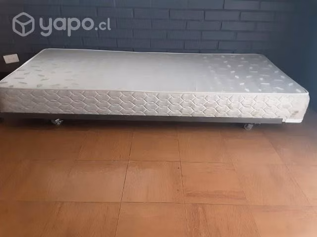 Cama