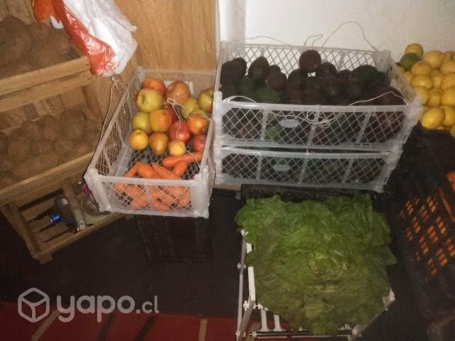 Paltas 3500 el kilo
