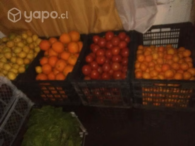 Paltas 3500 el kilo