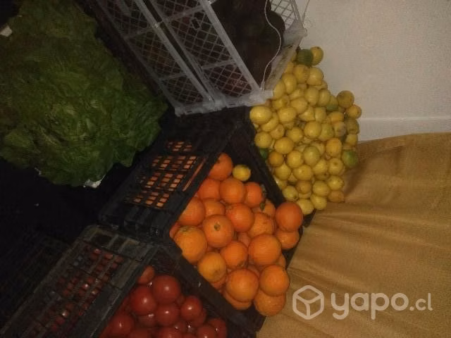 Paltas 3500 el kilo