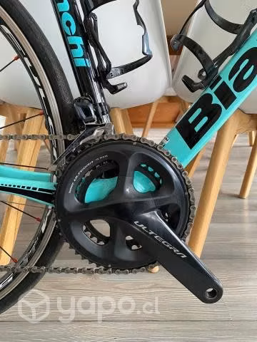 Bianchi infinito cv
