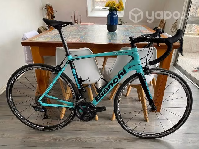 Bianchi infinito cv