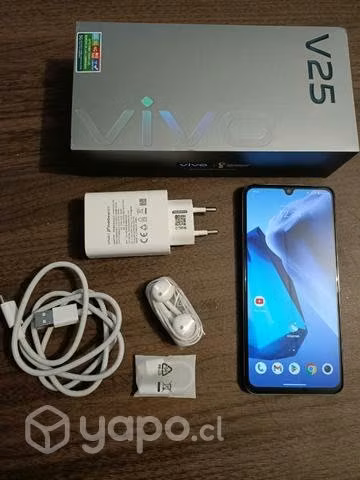 Vivo V25 5G