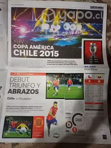 Album completo de chile campeón de panini