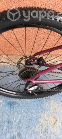 Bicicleta trek