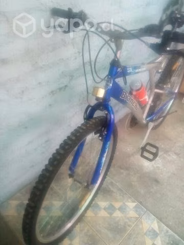 Bianchi Genesis. Buen estado - Imagen 2