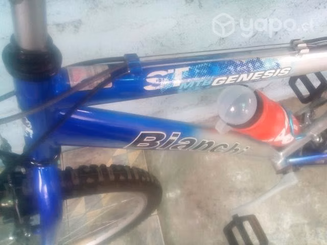 Bianchi Genesis. Buen estado - Imagen 3