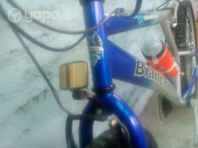 Bianchi Genesis. Buen estado - Imagen 6
