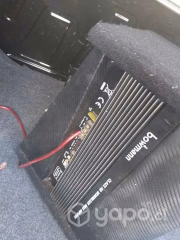 Bajo amplificado 1000w