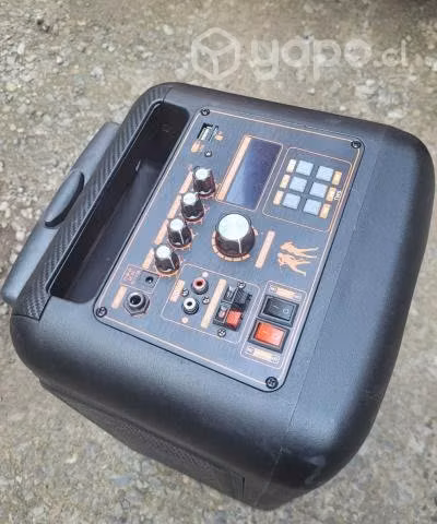Parlante inalámbrico karaoke RECCO