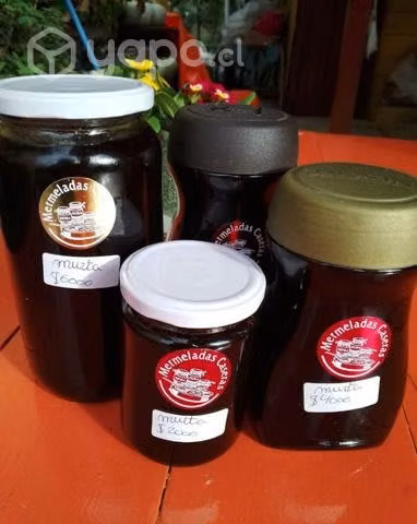 Mermeladas y frambuesas congeladas