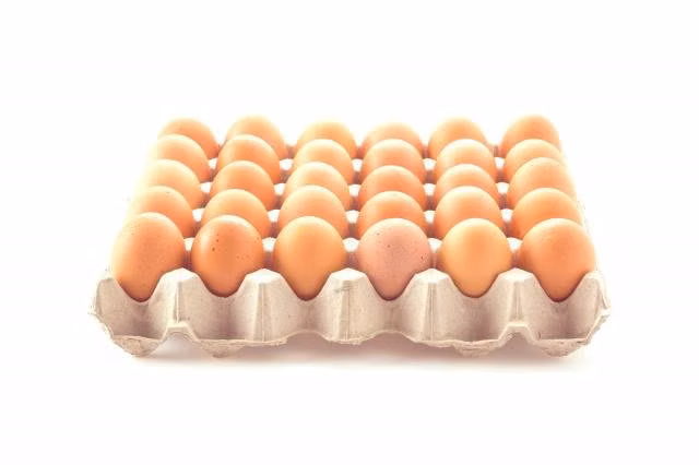 Huevos de gallinas libres kurram bandejas de 30 un