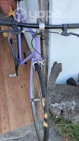 Bicicleta pistera