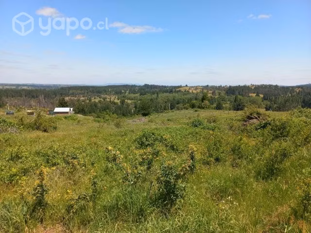 Parcela con hermosa vista