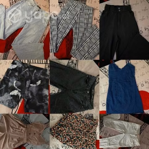Lote juvenil - Imagen 2