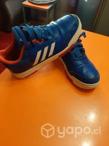 Zapatillas