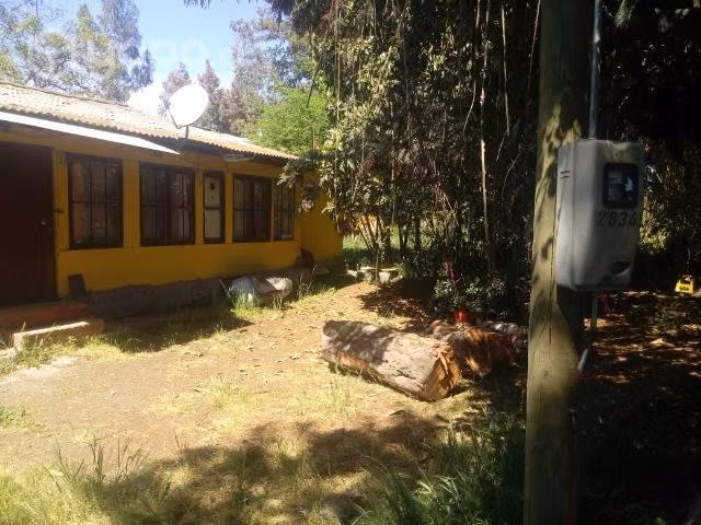 Casas en los niches