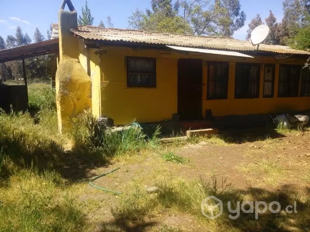 Casas en los niches