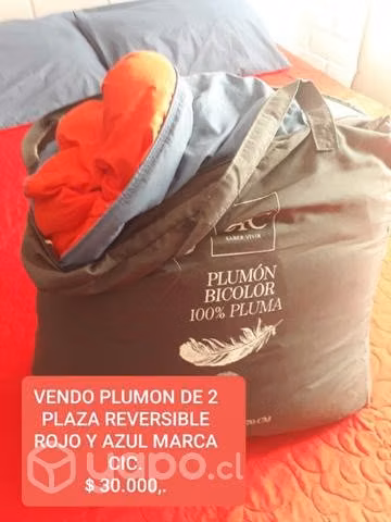 Plumon de 2 plaza